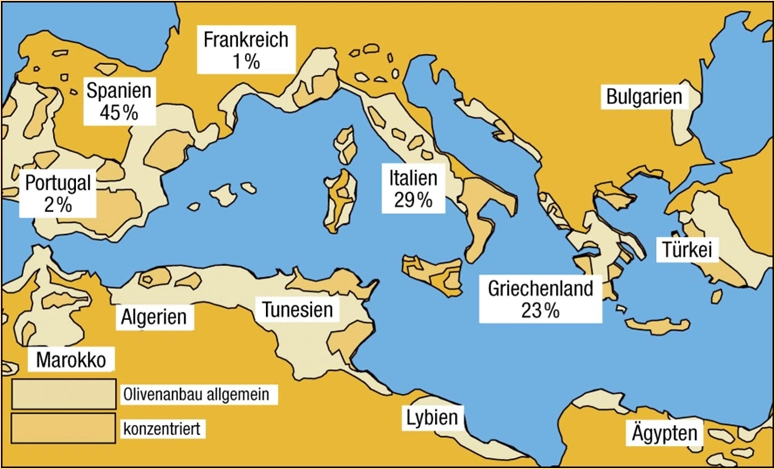 Olive oil growing regions in Europe