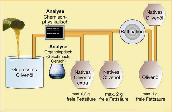 Olive oil grades – quality testing and classification