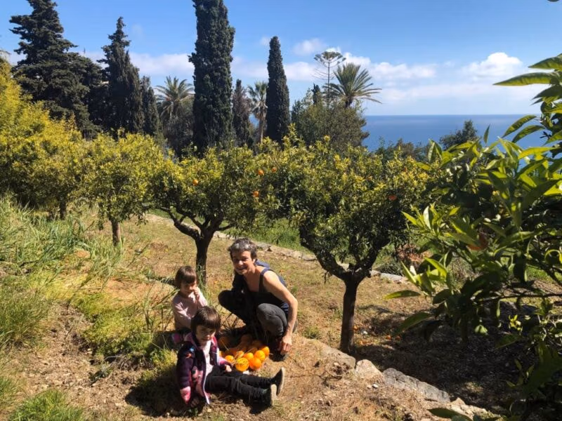 Sassolive Farm Imperia Organic Farm