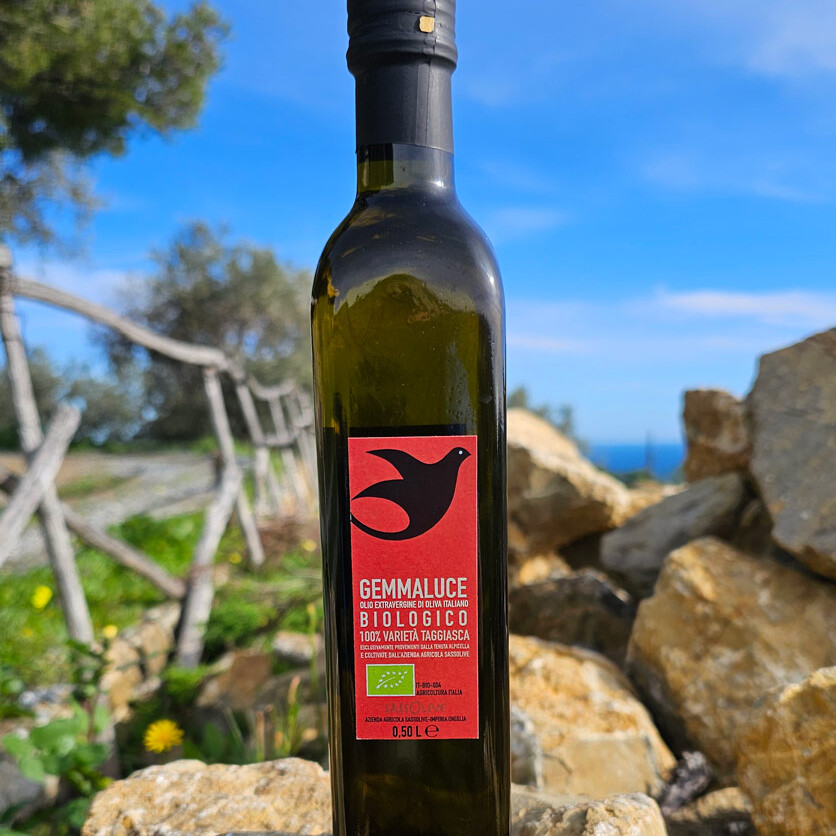 Organic Taggiasca extra virgin olive oil 2024