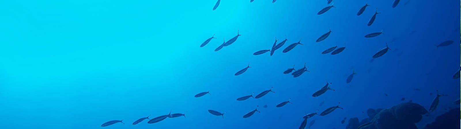 Die saubersten Strände in Italien 2024