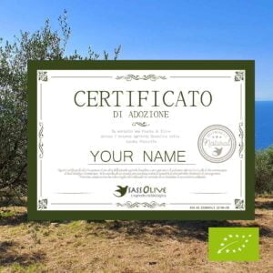 Olive tree sponsorship 2023 certificate