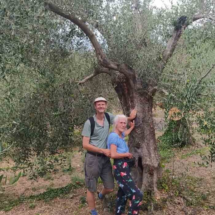 Olivenbaum Besucher 2