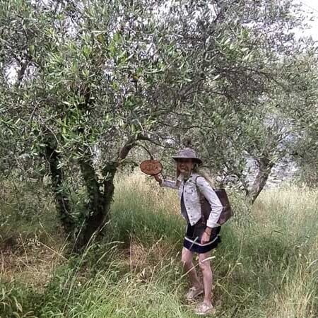 Olivenbaum Besucher 4