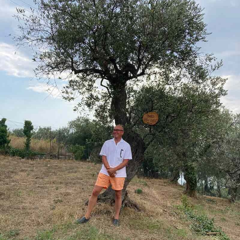 Olivenbaum Besucher 7