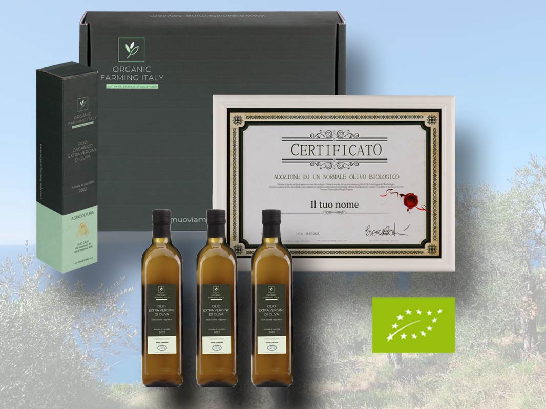 Olive tree sponsorship gift package 2023