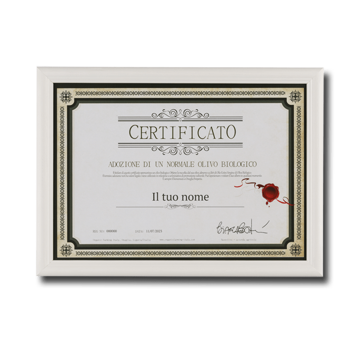 Certificate Sponsorship Olive Tree