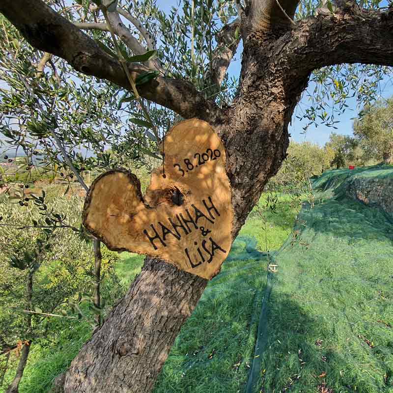 Das aussergewöhnliche Geschenk - Adoption eines Bio-Olivenbaumes in Italien